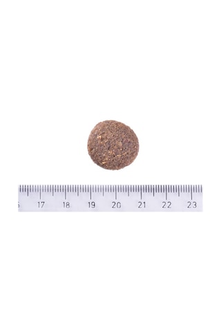 Brit Care Yetişkin Köpekler İçin, Tek Proteinli, Hipoalerjenik, Kuzu Etli Kuru Mama 12 Kg
