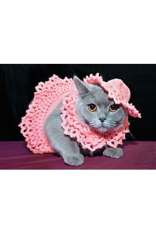 Busako Cat Pembe Özel Tasarım Kedi Kıyafeti Busako Cat Pembe Özel Tasarım Kedi Kıyafeti