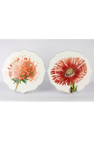 2li Art Of Botanical Kırmızı Tatlı Tabağı 21 Cm -5868