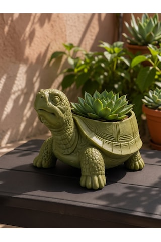 3d Tasarım Kaplumbağa Sukulent Ve Kaktüs Saksısı