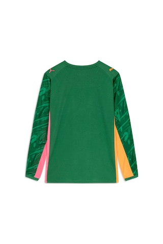 Puma Galatasaray 25/26 Erkek Kaleci Forması 780629 80 Yeşil