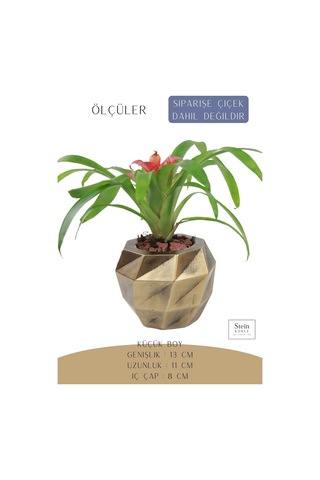 Çiçek Saksısı Dekoratif Kaktüs Saksı 1 Adet Dönen Poly Model - Altın Eskitme