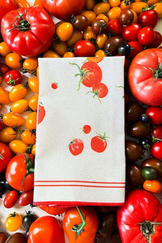 Rakle x Bengi Kurtcebe Pomodoro 2'li Peçete 45x45 cm