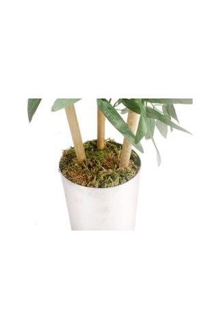 80 Cm Metal Saksı Da Islak Doku 3 Adet Bambu Yeşil