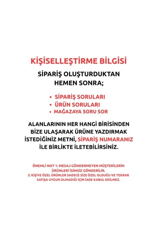 İsim Yazılı Kişiye Özel Newton Sarkaçı Metal Denge Topu Masaüstü Ofis Şık Dekoratif Hediye Orta Boy