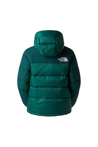 The North Face W Hmlyn Down Parka Kadın Outdoor Montu Nf0a4r2wgm01 Yeşil Yeşil