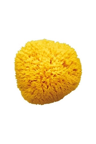 Okbaby Doğal Banyo Süngeri / Orta