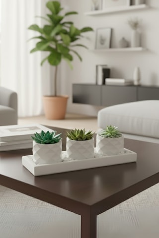 3 Lü Sukulent Saksı Seti Dolomit Taşı Dahildir,bitkiler Dahil Değildir 27x10