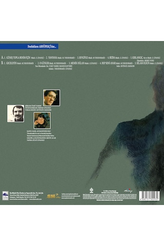 Zülfü Livaneli - Güneş Topla Benim İçin - Plak