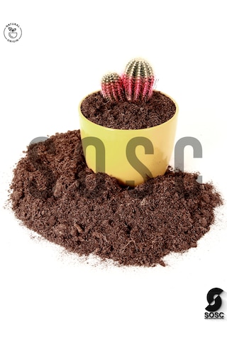 İthal Sphagnum Bitki Yetiştirme Torfu 10 Lt