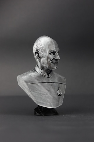 Picard - Star Trek - Figür / Büst - 12cm