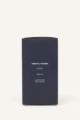 Defacto Erkek 100 ml Dusk Blue Parfüm Y2390AZNS