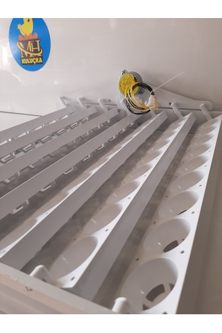 63'lük Otomatik Kuluçka Viyolü 46,5x42 X13,5