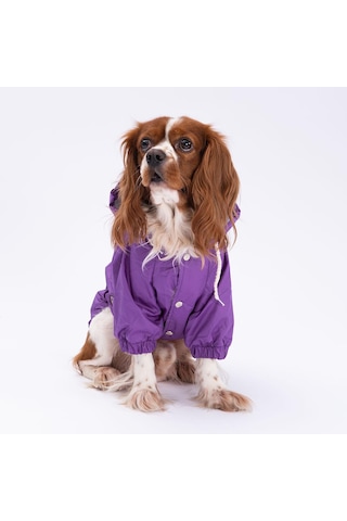 Mor Mont Köpek Mont Köpek Kıyafeti Köpek Yağmurluğu Küçük-büyük Irklar