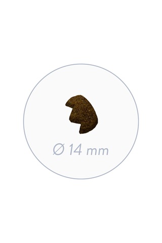 Dental Ağız Ve Diş Saglığı Yetişkin Kedi Mamasi 2 Kg
