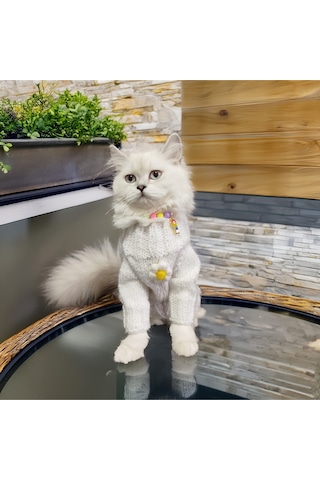 Kedi Ve Köpek İçin Papatyalı Beyaz Kazak