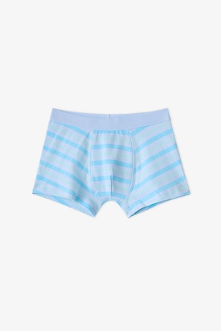 Penti Erkek Çocuk Mavi Dino Bones Çizgili Pamuklu 3lü Boxer
