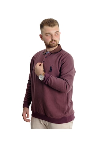 Mode Xl Büyük Beden Erkek Sweat Polo Selanik Horse 23442 Gül Kurusu 001