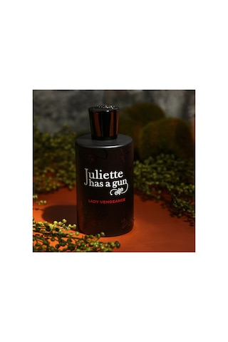 Lady Vengeance Edp 100ml Diğer