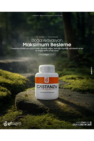 Yf Agro Costanzo 0.5 kg