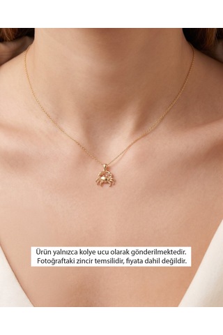 Üç Boyutlu Sade Minik Yengeç 14 Ayar Altın Kolye Ucu