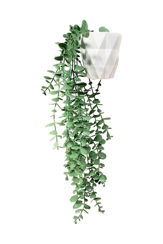 Yapay Çiçek Elmas Beyaz Saksıda Yeşil Okaliptus Sarkıtı Çok Renkli