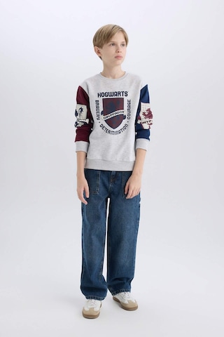 Defacto Erkek Çocuk Harry Potter Regular Fit Bisiklet Yaka Sweatshirt D4258a8nsgr400 Gri