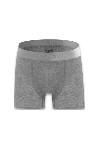 Cnt Erkek Boxer Ambalajlı Boxer Dikişleri Sağlam Rahat Katlanma Yapmaz Premium Boxer Karışık2 Karışık2