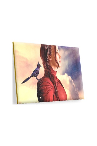 Cakasepetim The Hunger Games Ahşap Mdf Tablo