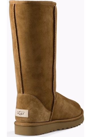 Ugg Kadın Bot 1016223-chesnut 001