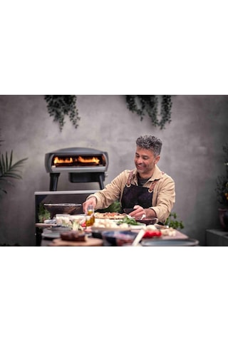 Witt Fermo Pizza Fırını Mat Taş Renkli