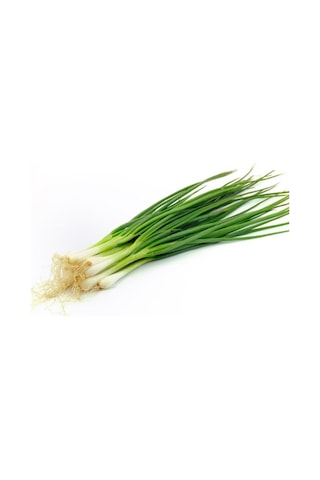 Yerli Ata Tohumu Yeşil Taze Soğan 50 Adet