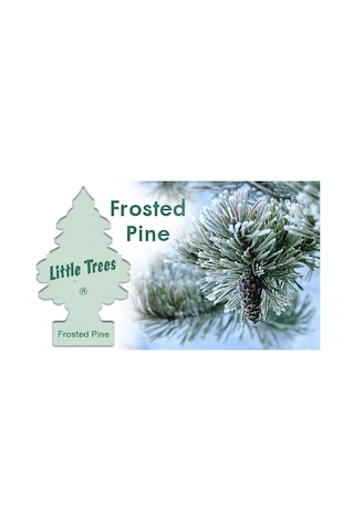 Little Trees Frosted Pine - Çam Ormanı Asmalı Oto Kokusu 6 Adet