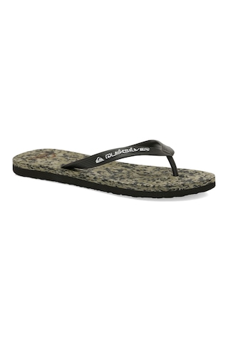 Quiksilver Molokaı Recycled Bej Erkek Parmak Arası Terlik 000000000102117350 Bej