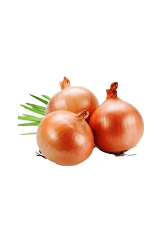 Kuru Soğan Tohumu 10 GR