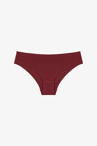 Penti Renkli Peach Leo 3'lü Pamuklu Hipster Külot