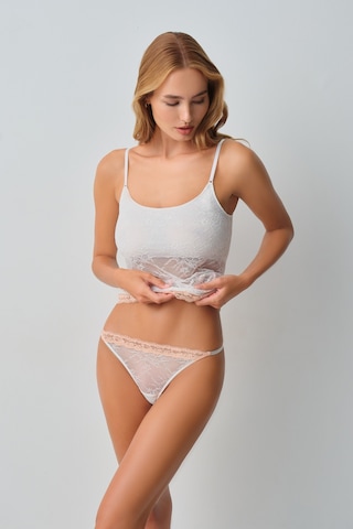 Suwen Monica Dantelli G-string Külot Wsl10210089036 Ekru