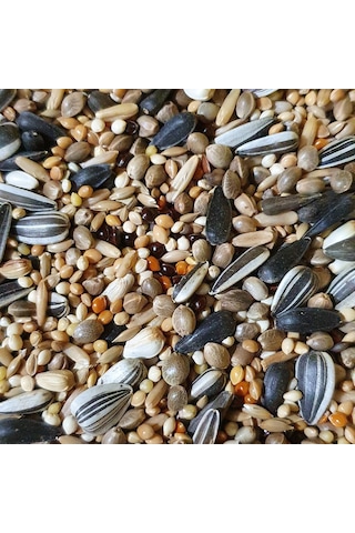 Sultan. Cennet ve Sevda Papağanı Yemi 1 KG Sultan. Cennet ve Sevda Papağanı Yemi 1 KG
