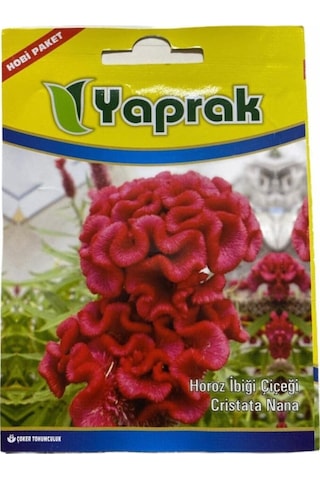 Horoz Ibiği Tohum