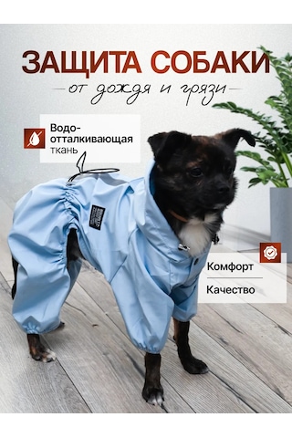 My Dream Köpekler İçin Yağmurluk Tulumu 364965843