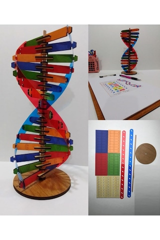Modeli Eğitici Ahşap Seti 30cm