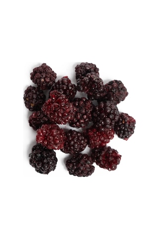 10'lu Paket Freeze Dried Böğürtlen - Dondurularak Kurutulmuş Böğürtlen 20g X 10 1 Adet