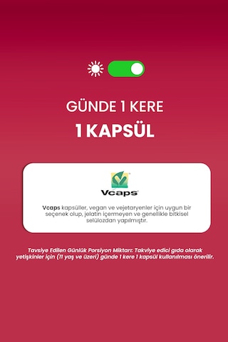 Erbatab Magnezyum Bisglisinat Sitrat Malat & Vitamin B2 B3 B6 3'lü Form 60 Kapsül