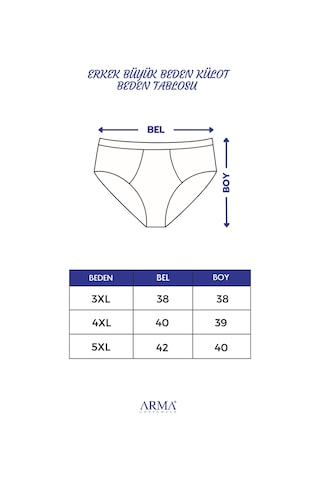 Arma Yıldız Erkek Büyük Beden Külot Slip 6'lı Paket Beyaz %100 Pamuklu Beyaz