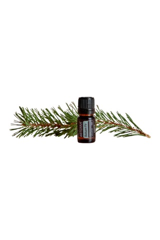 Balsam Fir 5ml Oil - Balsam Köknarı