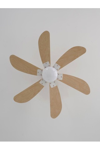 Woox İleri Geri Fonksiyonlu 6 Kanatlı Fan Ve Işıklı Uzaktan Kumandalı Tavan Vantilatörü, Kahverengi