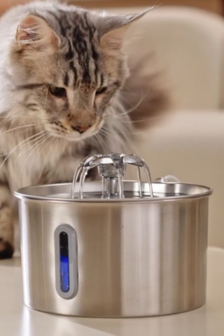 Sensörlü 2.2 L Göstergeli Paslanmaz Çelik Kedi Köpek Için Su Pınarı Su Çeşmesi Su Sebili Bp02