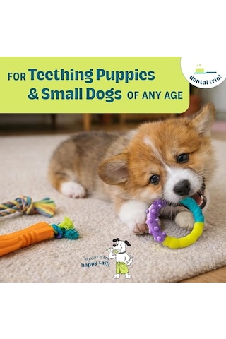 Petstages Küçük Köpekler Ve Diş Çıkarma Yavruları İçin Orka Diş Çiğneme Oyuncakları - 3'lü Paket