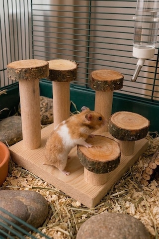 Doğal Kemirgen Merdiveni Ve Tırmanma Standı - Hamster Oyun Kulesi