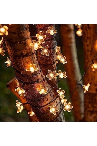 Solar 5m 50 Led Papatya Gün Işığı 8 Fonksiyonlu Siyah